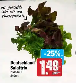 AEZ Deutschland Salattrio Angebot