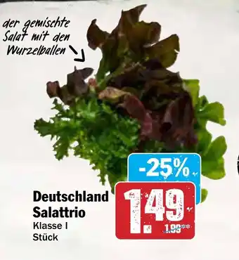 AEZ Deutschland Salattrio Angebot