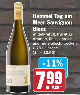 AEZ Hammel Tag am Meer Sauvignon Blanc Angebot