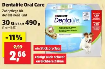 Thomas Philipps Dentalife Oral Care Angebot