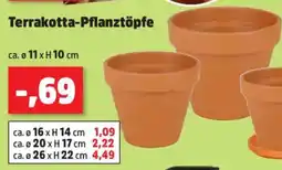 Thomas Philipps Terrakotta-Pflanztöpfe Angebot