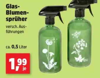 Thomas Philipps Glas- Blumen- sprüher Angebot