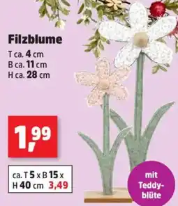 Thomas Philipps Filzblume Angebot