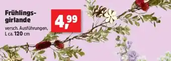 Thomas Philipps Frühlings- girlande Angebot