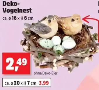 Thomas Philipps Deko- Vogelnest Angebot