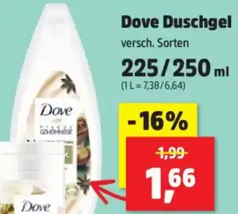 Thomas Philipps Dove Duschgel Angebot