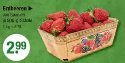 V Markt Erdbeeren Angebot