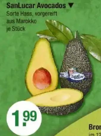 V Markt SanLucar Avocadoim 12-cm-Topf, Angebot