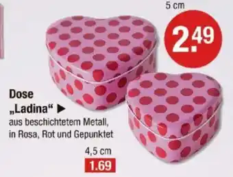 V Markt Dose „Ladina" Angebot