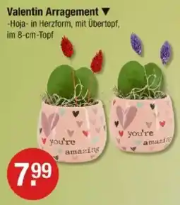 V Markt Valentin Arragement Angebot