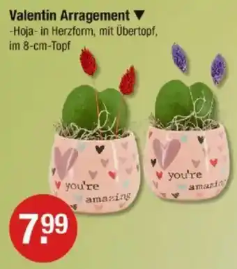 V Markt Valentin Arragement Angebot