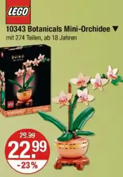 V Markt LEGO 10343 Botanicals Mini-Orchidee Angebot