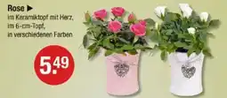 V Markt Rose Angebot