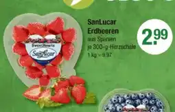 V Markt SanLucar Erdbeeren Angebot