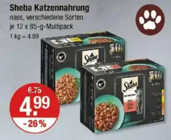 V Markt Sheba Katzennahrung Angebot