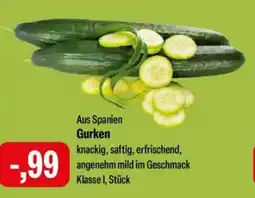 Feneberg Gurken Angebot