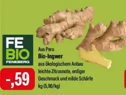 Feneberg Bio-Ingwer FE BIO Angebot