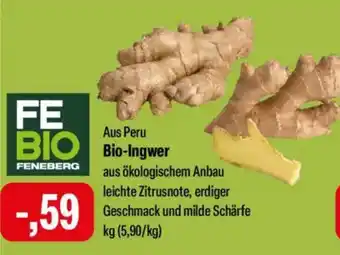 Feneberg Bio-Ingwer FE BIO Angebot