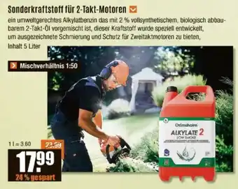 V Baumarkt Sonderkraftstoff für 2-Takt-Motoren Angebot