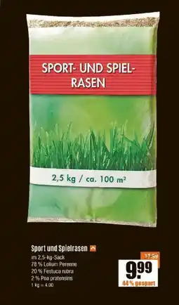 V Baumarkt Sport und Spielrasen Angebot