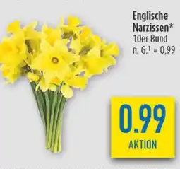 diska Englische Narzissen Angebot