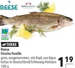 CITTI Markt Reese Frische Forelle Angebot