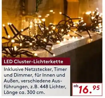 Möbel Rieger LED Cluster Lichterkette Angebot