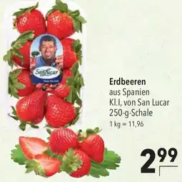 CITTI Markt Erdbeeren Angebot