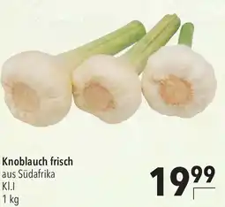 CITTI Markt Knoblauch frisch Angebot