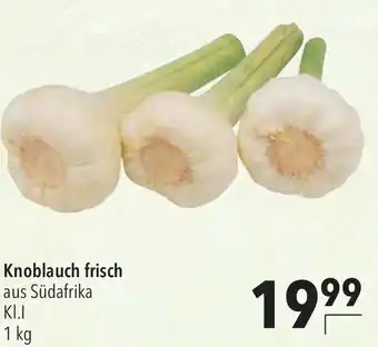 CITTI Markt Knoblauch frisch Angebot