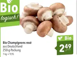 CITTI Markt Bio Champignons rosé Angebot