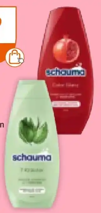 Müller Schwarzkopf Schauma Shampoo Angebot