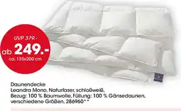 Möbel Martin CENTA-STAR Daunendecke Angebot