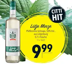 CITTI Markt Lütje Minze Angebot