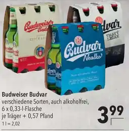 CITTI Markt Budweiser Budvar Angebot