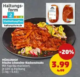 PENNY MÜHLENHOF Frische Schweine-Nackensteaks Angebot