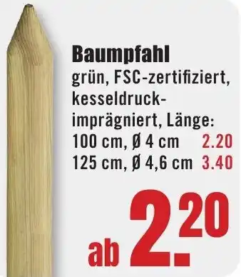 B1 Discount Baumarkt Baumpfahl Angebot