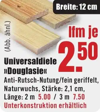 B1 Discount Baumarkt Universaldiele Douglasie Angebot