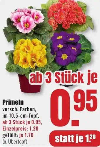 B1 Discount Baumarkt Primeln Angebot