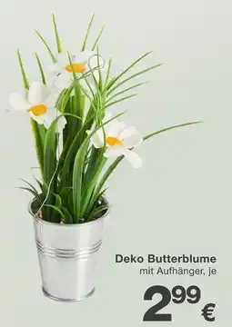 KiK Deko butterblume Angebot