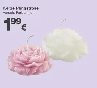 KiK Kerze pfingstrose Angebot