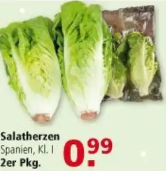 Multi Markt Salatherzen Angebot