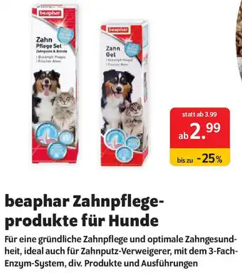 Das Futterhaus beaphar Zahnpflegeprodukte für Hunde Angebot