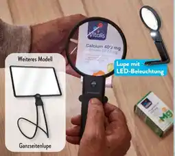 Aldi Süd Maginon LED-Lupe Angebot