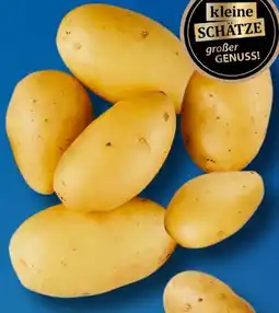 Aldi Süd Natur Lieblinge Kleine Schätze Premium Speisekartoffeln Drillinge Angebot