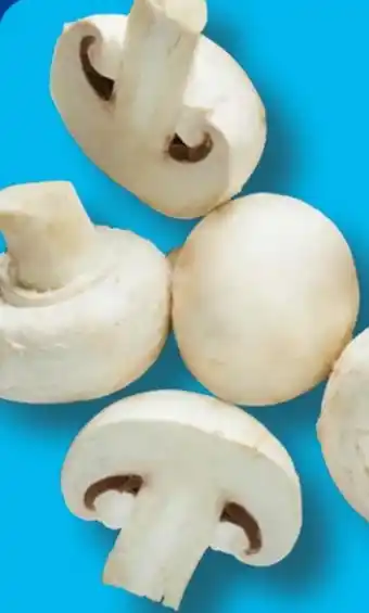 Aldi Süd Champignons Angebot