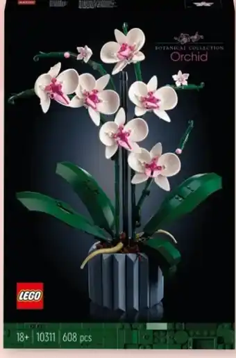 Rossmann LEGO Orchidee 10311 Angebot