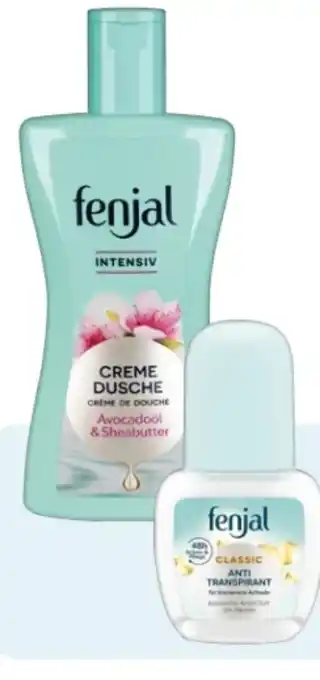 Rossmann Fenjal Dusche Angebot