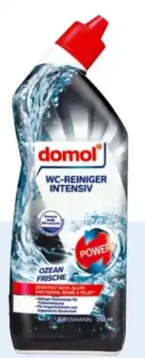 Rossmann Domol WC-Reiniger Intensiv Angebot