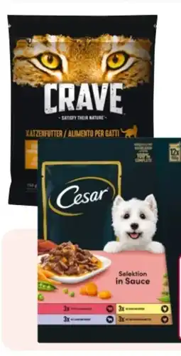 Rossmann Crave Katzen Trockenfutter Angebot